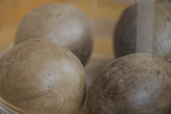 羅漢果イメージ